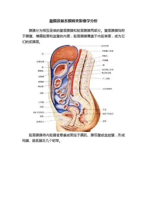 腹膜及肠系膜病变影像学分析