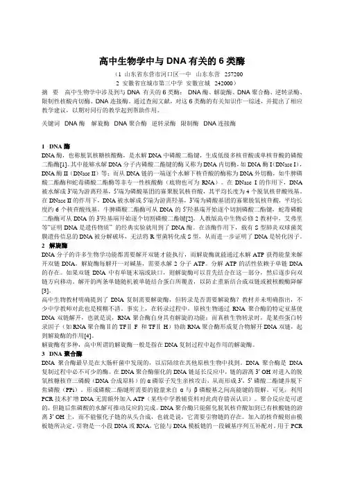 高中生物学中与DNA有关的6类酶