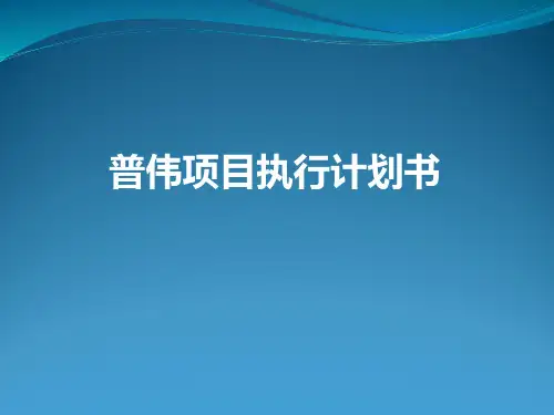 人力资源项目执行计划书汇总