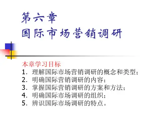 第6章 国际市场营销调研