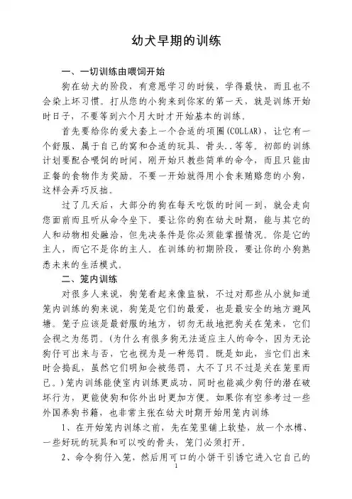 训犬的方法-如何训犬-训犬知识