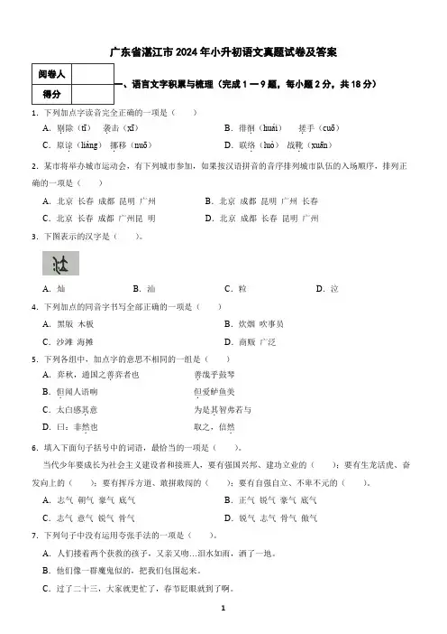 广东省湛江市2024年小升初语文真题试卷及答案