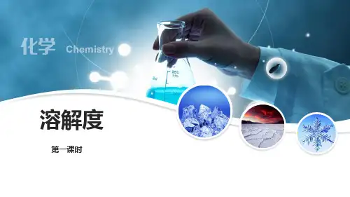 《溶解度》溶液PPT课件(第1课时)