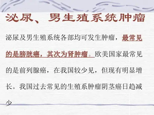 泌尿系肿瘤ppt课件