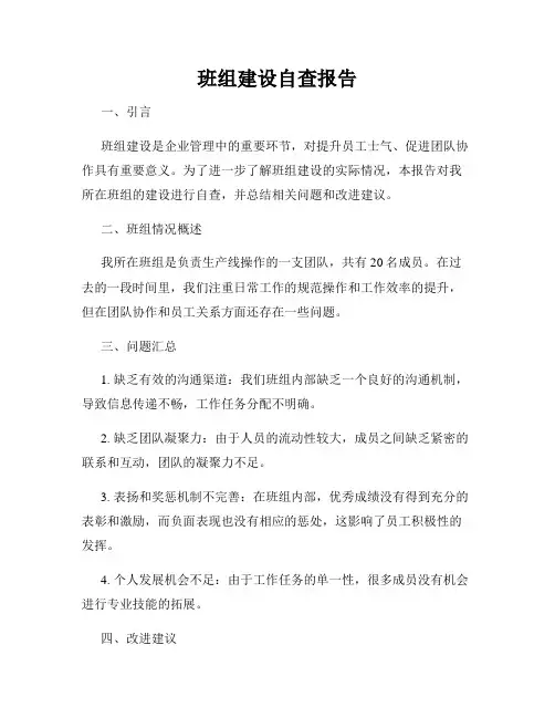 班组建设自查报告