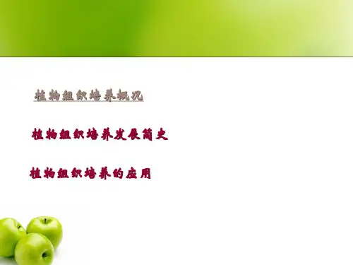 园艺植物组织培养绪论1