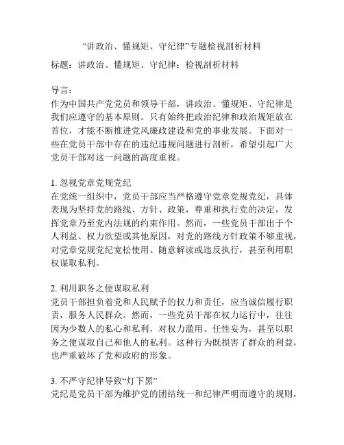 “讲政治、懂规矩、守纪律”专题检视剖析材料