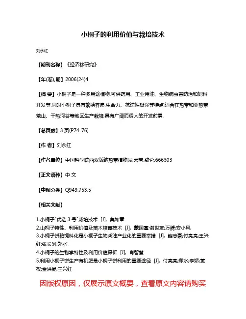 小桐子的利用价值与栽培技术