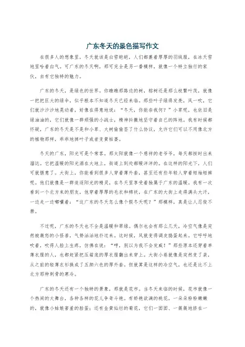 广东冬天的景色描写作文