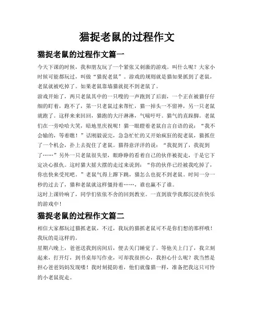猫捉老鼠的过程作文