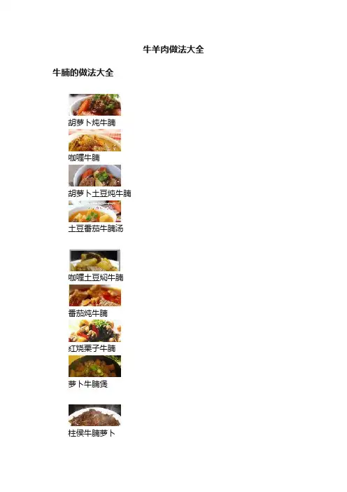 牛羊肉做法大全
