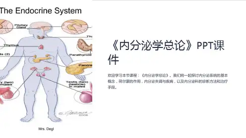 《内分泌学总论》课件