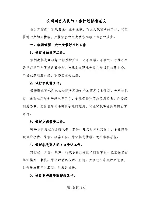 公司财务人员的工作计划标准范文(4篇)