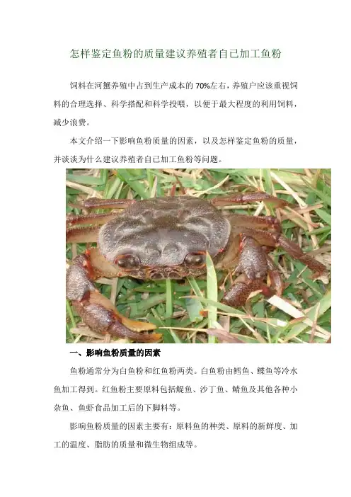 怎样鉴定鱼粉的质量 建议养殖者自已加工鱼粉