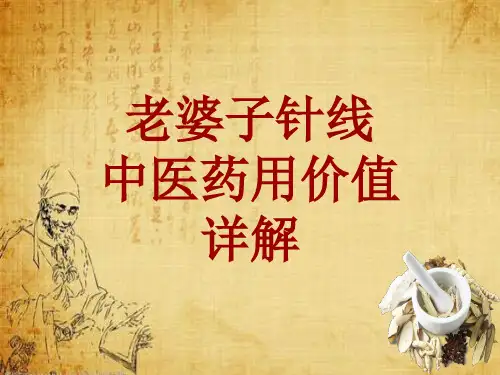 中药学_老婆子针线_药材详解课件模板