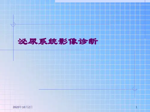 泌尿系统影像诊断-ppt医学影像学PPT课件