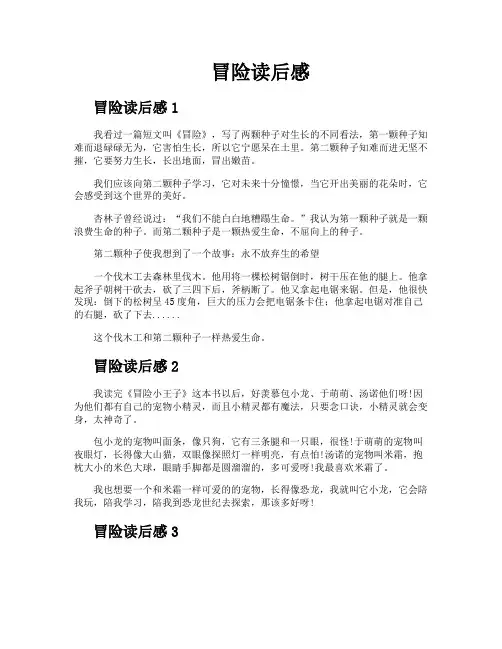 冒险读后感