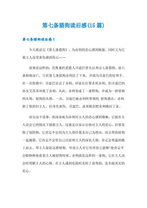第七条猎狗读后感(15篇)