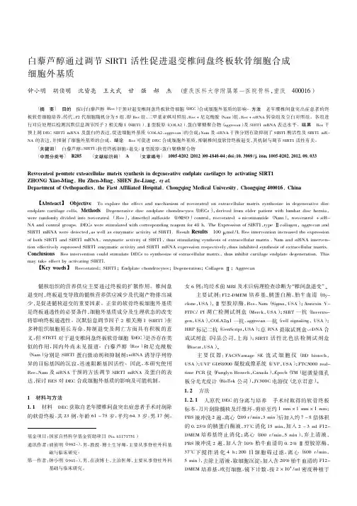 白藜芦醇通过调节SIRT1活性促进退变椎间盘终板软骨细胞合成细胞外基质