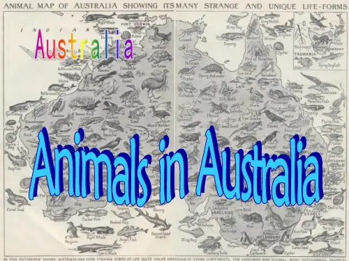 Australia animals