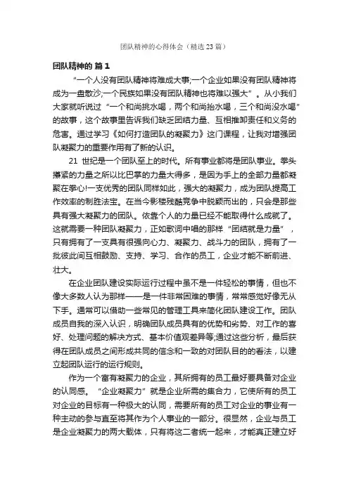 团队精神的心得体会（精选23篇）