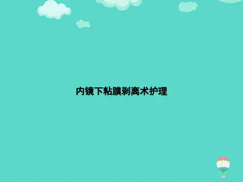 【高质量】内镜下粘膜剥离术护理PPT文档