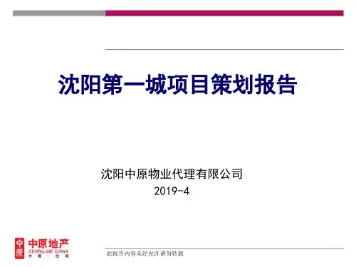 沈阳第一城的项目的的策划的报告