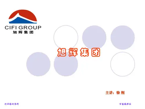 旭辉集团