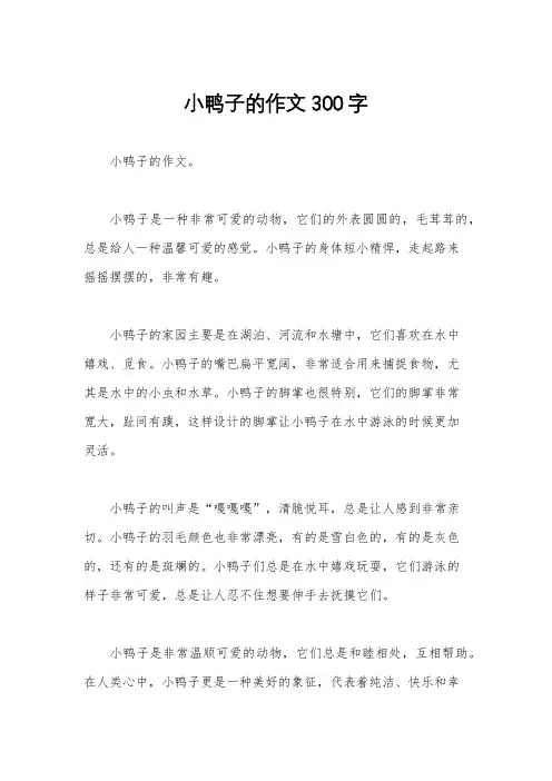 小鸭子的作文300字
