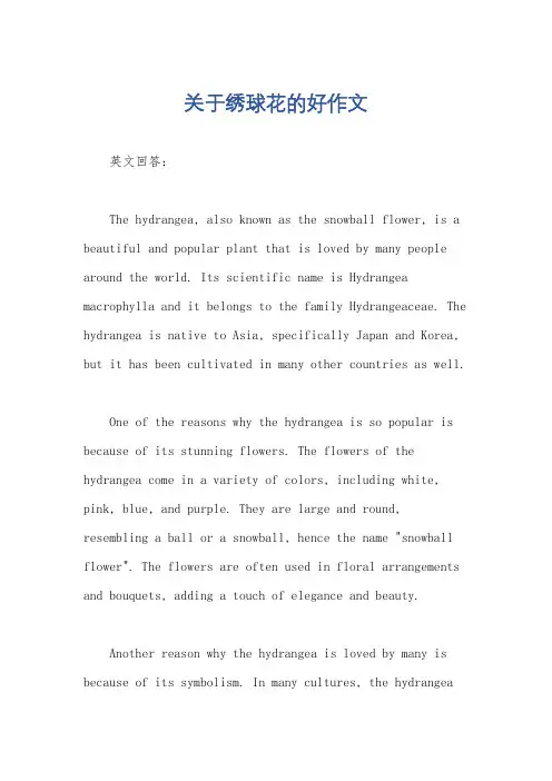 关于绣球花的好作文