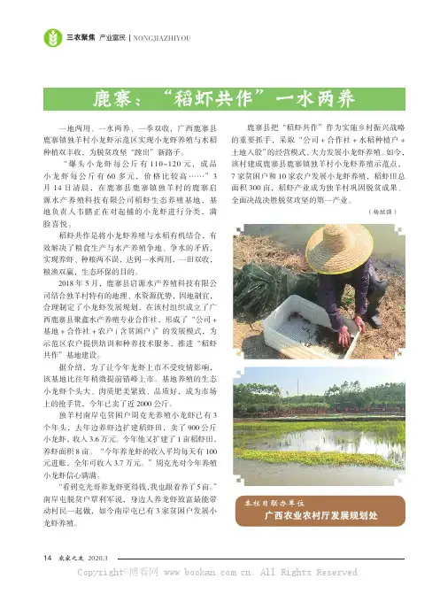 鹿寨：“稻虾共作”一水两养