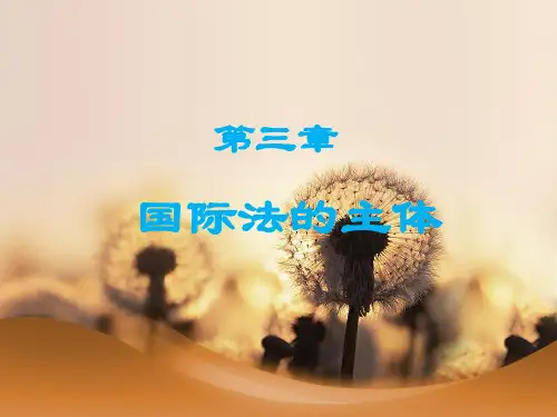 国际法第三章国际法的主体