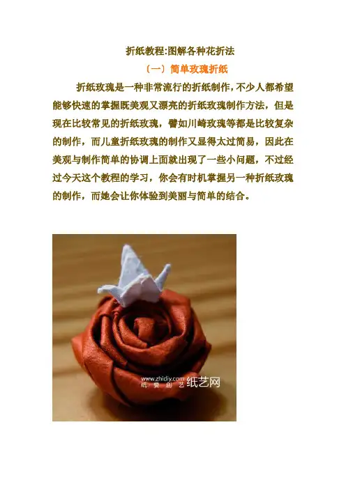 折纸教程-图解各种花折法