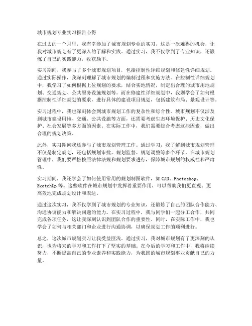 城规实习报告心得
