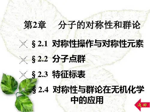 分子的对称性和群伦