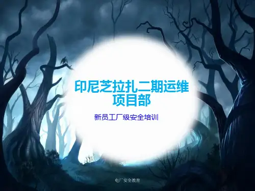 电厂安全教育 PPT