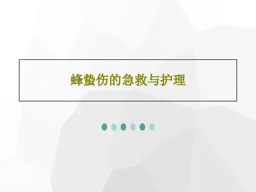 蜂蛰伤的急救与护理20页PPT
