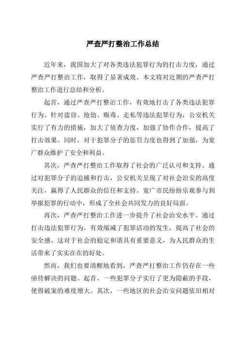 严查严打整治工作总结