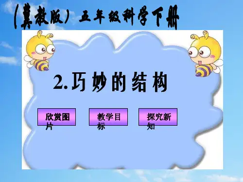 冀教小学科学六下册《2巧妙的结构》PPT课件 (3)