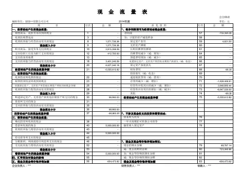 自动编制现金流量表(最新版2014