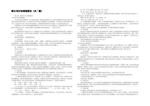 啄木鸟行动调查报告(共7篇) 