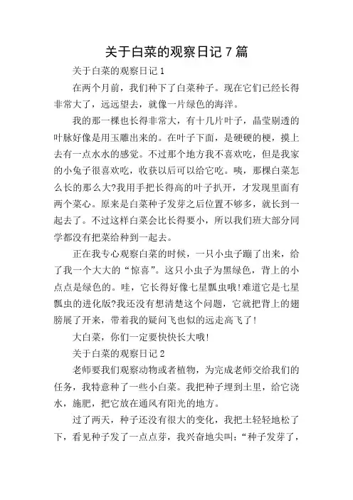 关于白菜的观察日记7篇