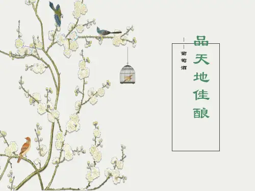 葡萄酒知识PPT课件