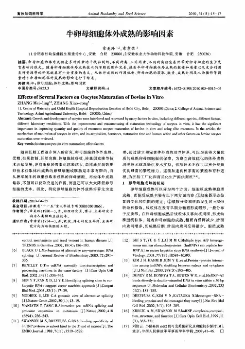 牛卵母细胞体外成熟的影响因素
