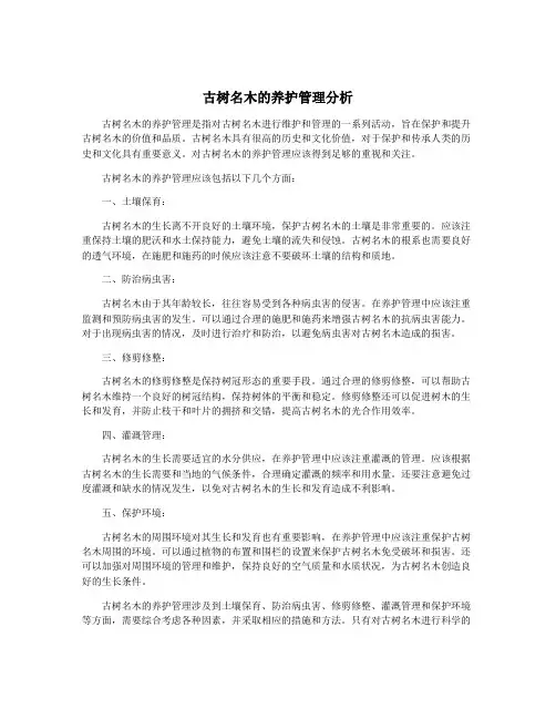 古树名木的养护管理分析