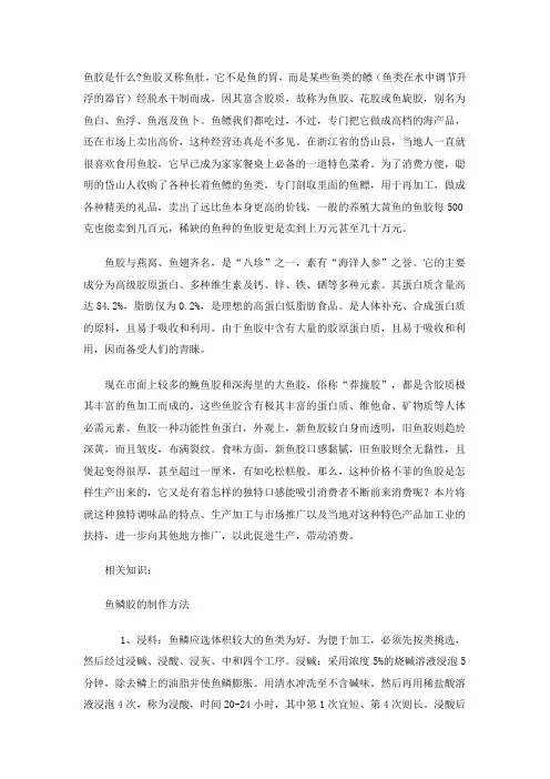 鱼胶是什么