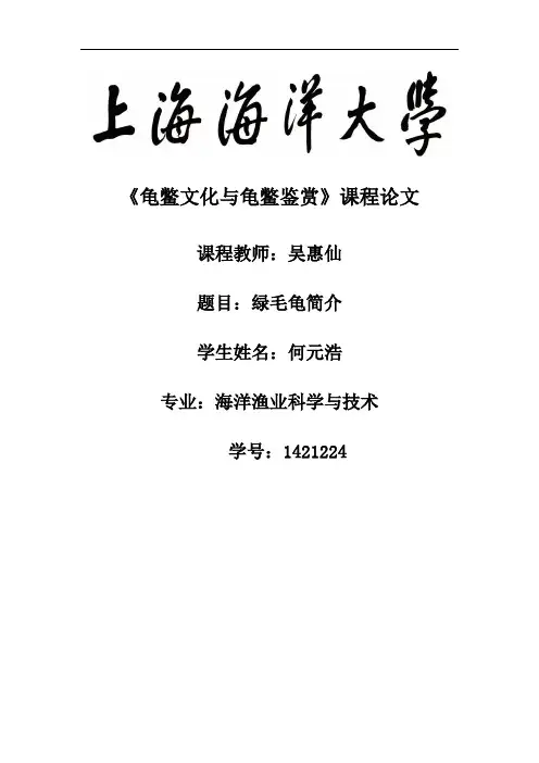 龟鳖文化与龟鳖鉴赏