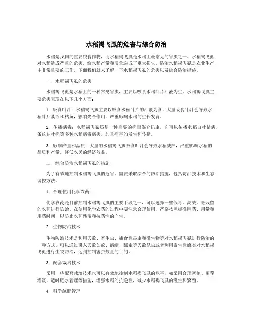 水稻褐飞虱的危害与综合防治