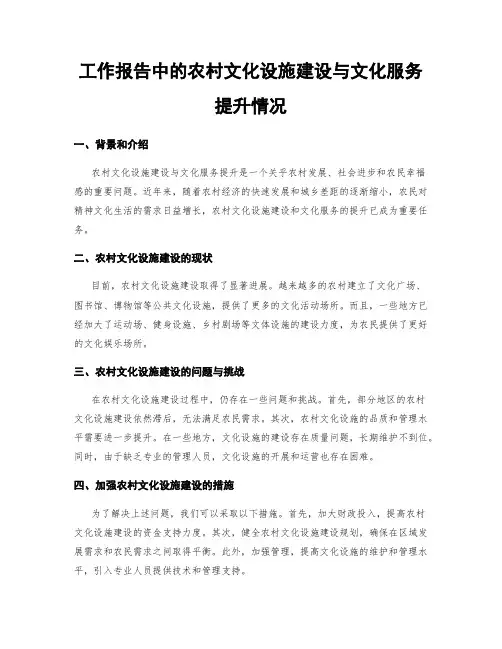 工作报告中的农村文化设施建设与文化服务提升情况