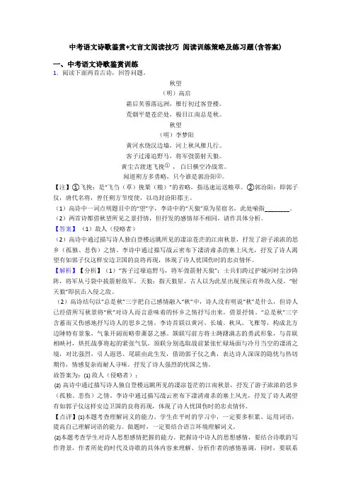 中考语文诗歌鉴赏+文言文阅读技巧 阅读训练策略及练习题(含答案)